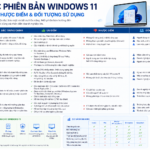 Các Phiên bản windows 11 - Ưu nhược điểm và đối tượng sử dụng