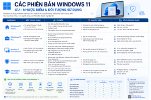 Các Phiên bản windows 11 - Ưu nhược điểm và đối tượng sử dụng